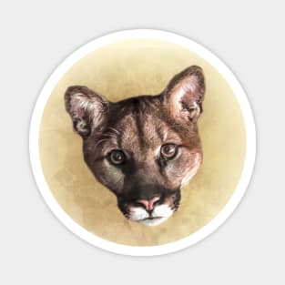 Mountain lion Magnet